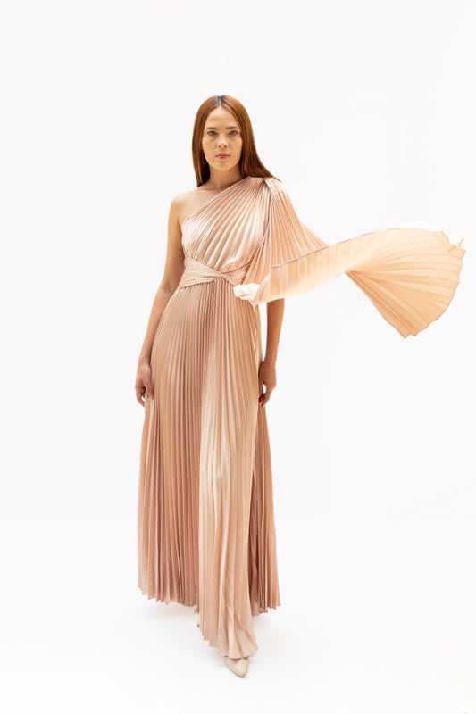 Champagne One Shoulder Gown